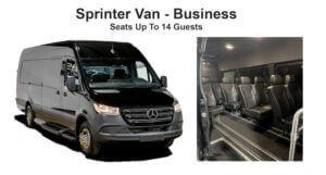 Sprinter Van Business